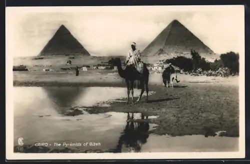 AK Cairo, The Pyramids of Gizeh