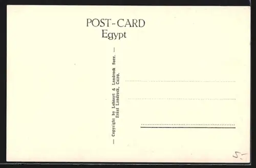 AK Cairo, Mena House Hotel, View of the Garden