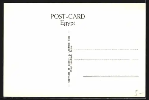 AK Cairo, The Pyramids of Gizeh