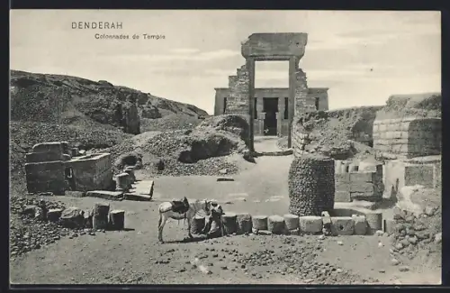 AK Denderah, Colonnades de Temple