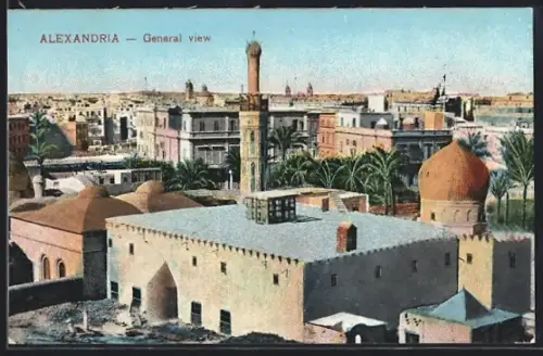 AK Alexandria, General View