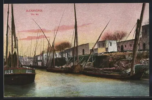 AK Alexandria, The Nil