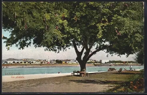 AK Assouan, Vue generale