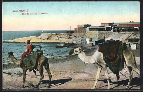 AK Alexandrie, Baie de Stanley à Ramieh
