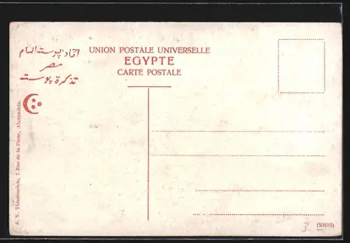 AK Alexandrie, Baie de Stanley à Ramieh