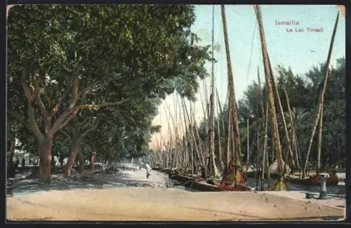 AK Ismailia, Le Lac Timsah