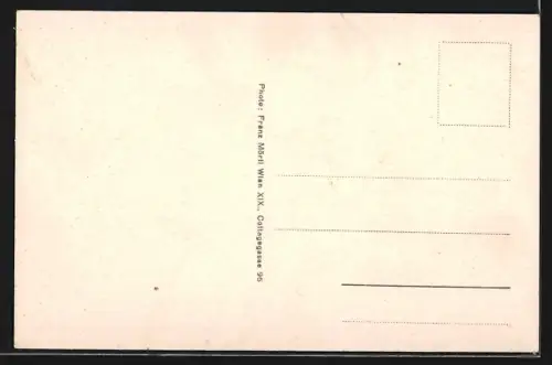 AK Freistadt /O. D., Partie an der Kirche