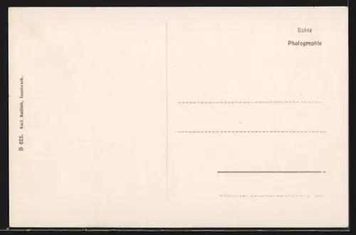 AK Fulpmes, Blick über die Dächer auf die Alpen, Habicht, Wilder Freiger, Zuckerhutl, Asperer Pfaff