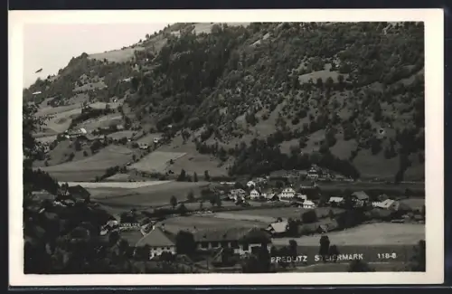 AK Predlitz /Steiermark, Ortsansicht im Tal