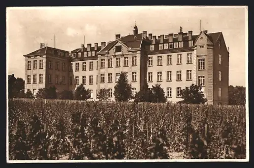 AK Maria Schutz, Institut Maria Schutz, Totalansicht