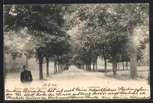 AK Brucker Lager, Lagerstrasse mit Allee-Bäumen