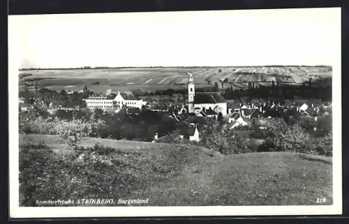 AK Steinberg /Burgenland, Ortsansicht mit Kirche vom Feld aus