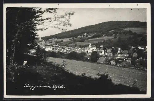 Foto-AK Sieggraben /Bgld., Ortsansicht vom Waldrand aus