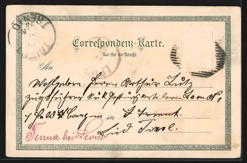 Lithographie Steyr, Garsten, Neulust, St. Ulrich, Ortsansicht aus der Vogelschau