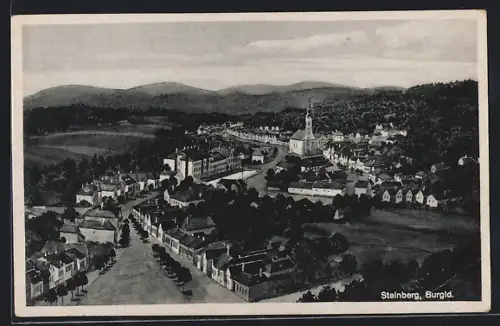AK Steinberg, Ortsansicht aus der Vogelschau