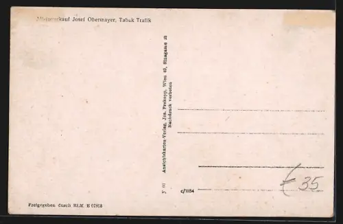 AK Steinberg, Ortsansicht aus der Vogelschau