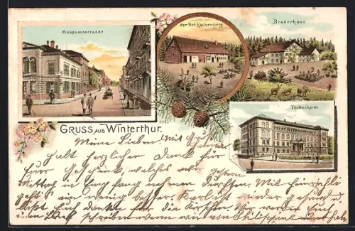 Lithographie Winterthur, Museumsstrasse, Hof Eichenberg, Bruderhaus, Technikum