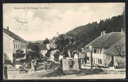 AK Wolfsegg /Ob.-Österr., Rossmarkt mit Brunnen