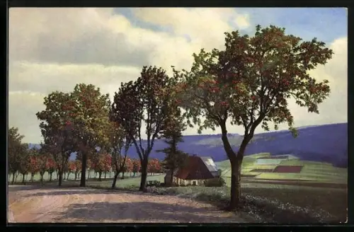 Künstler-AK Photochromie Nr. 761: Neuhausen, Gehöft zwischen dem Ort und Bad Einsiedelei-Heidelberg