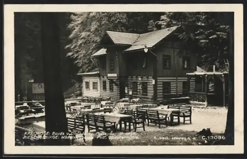 AK Spindlermühle /Riesengebirge, Mädelstegbaude mit Garten