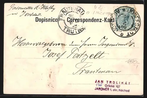 AK Josefstadt, Platzmusik, Blaskonzert und Gebäudepanorama