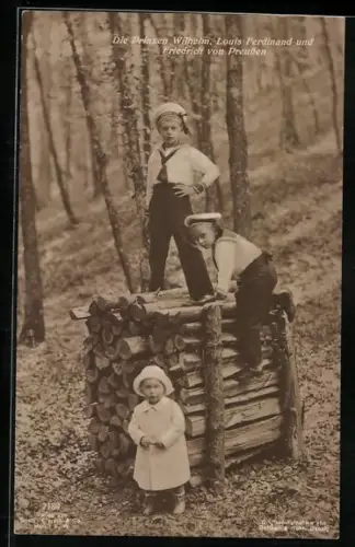AK Prinzen Wilhelm, Louis Ferdinand und Friedrich von Preussen