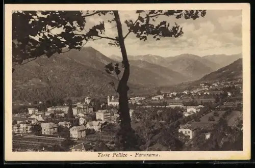 AK Torre Pellice, Panorama