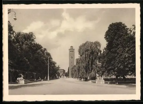 AK München, Deutscher Apothekertag 1954, Ausstellungspark mit Turm