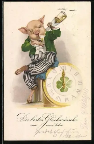 AK Schwein im Anzug beim Sekttrinken, vermenschlichte Tiere