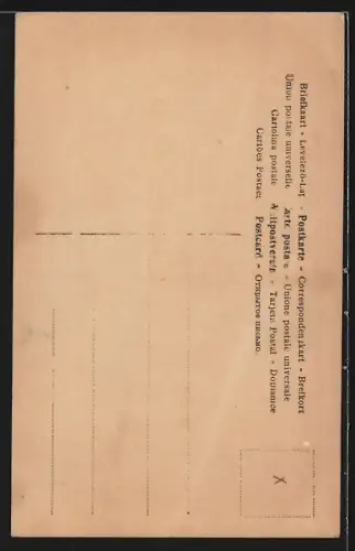 AK Opernsängerin Reta Walter im Blumenkleid mit Rüschen