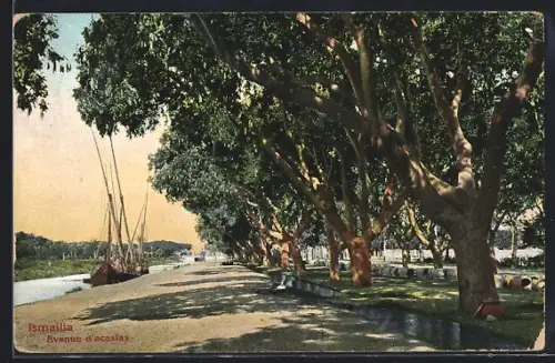 AK Ismailia, Avenue d`acasias