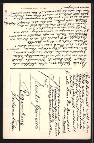 AK Wien, Panorama mit Stefanskirche