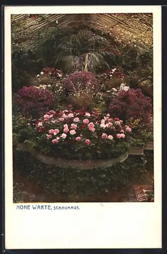 AK Wien, Hohe Warte, Schauhaus, Rosenbusch