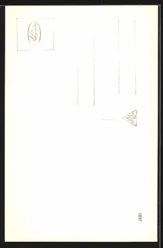 AK Linz a. D., Landhaus m. Stifter-Denkmal
