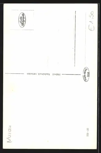 AK Neumarkt i. Steiermark, Ortsansicht vom Berghang mit Wölzertauern