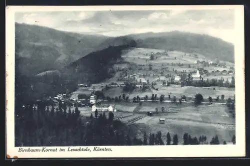 AK Birnbaum-Kornat im Lesachtale, Panorama