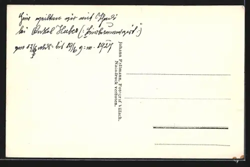 AK Birnbaum-Kornat im Lesachtale, Panorama