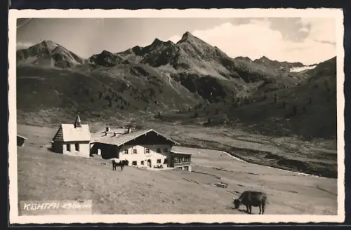 AK Silz, Kühtai, Panorama mit Kühen