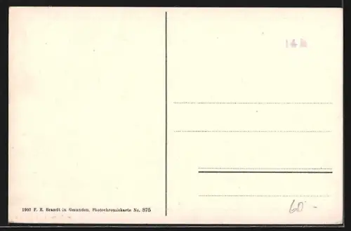 AK Seewalchen am Attersee, Totalansicht mit Salondampfer