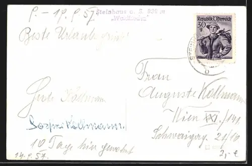 AK Steinhaus a. S., Pension Waldfrieden