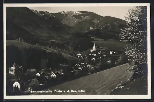 AK Prein a. d. Rax /N.-Oe., Ortsansicht mit Kirche vor Bergkulisse