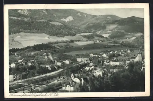 AK Payerbach /N.-Oe., Gesamtansicht