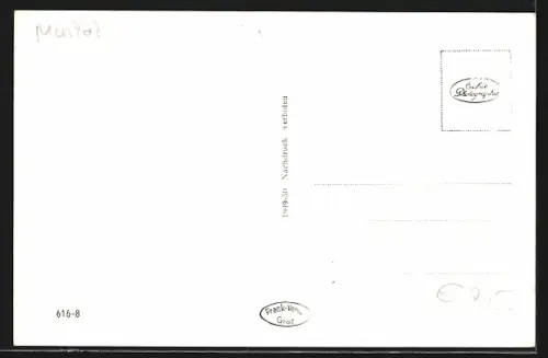 AK Unzmarkt /Stmk., Ortsansicht aus der Vogelschau