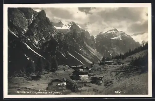AK Neustift /Stubai, Herzebenalm mit Bergpanorama