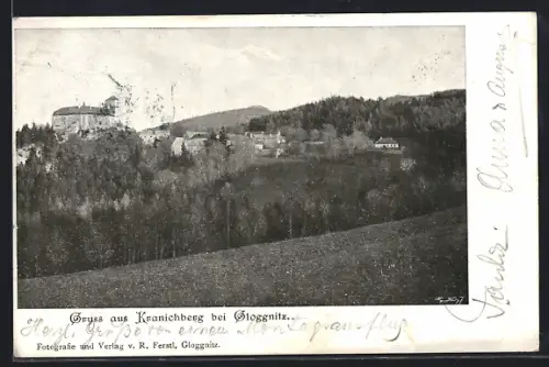 AK Kranichberg bei Gloggnitz, Ortsansicht zwischen Bäumen