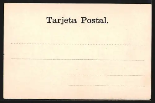 AK Talcahuano, Panorama