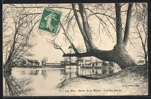 AK La Pie, Bords de la Marne, L`Arbre penché
