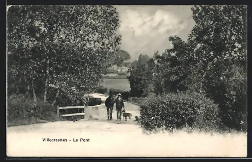 AK Villecresnes, Le Pont avec cheval et chien sur le chemin