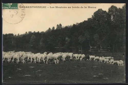 AK Charentonneau, Les Moutons au bord de la Marne
