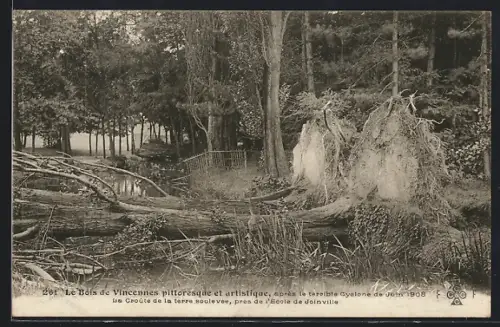 AK Le Bois de Vincennes, Panorama après le terrible Cyclone de 1908, La Croûte de la terre soulevée, près de l`Ecole
